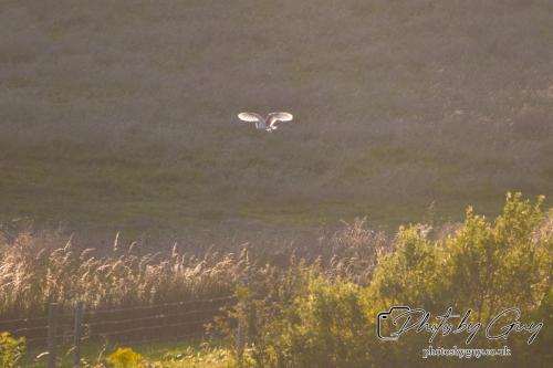 26 - 27 July 2024 Ennerdale, Cumbria -