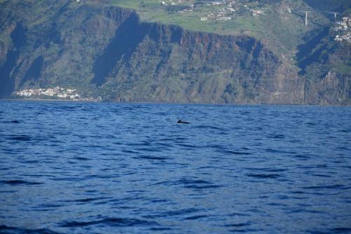 Calehetta Beach from the sea