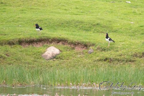 18 July 2024 West Cumbria