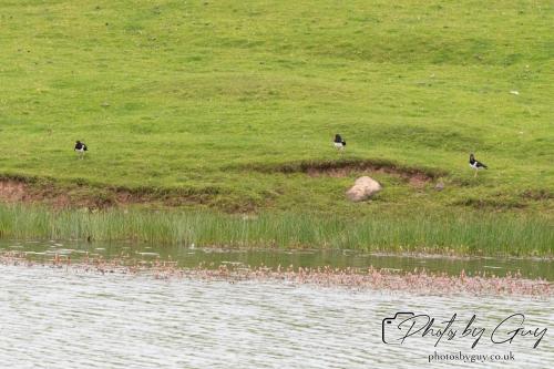 18 July 2024 West Cumbria