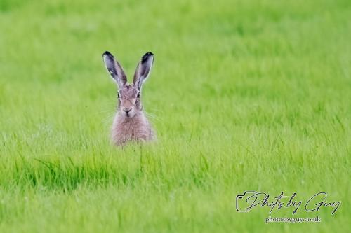 18 July 2024 West Cumbria