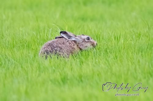 18 July 2024 West Cumbria
