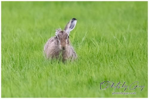 18 July 2024 West Cumbria