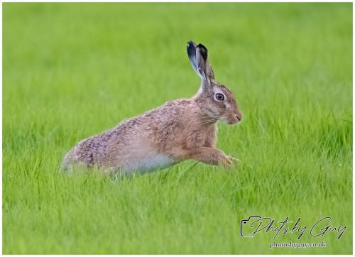 18 July 2024 West Cumbria