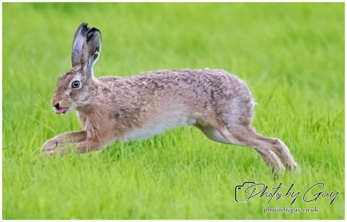 18 July 2024 West Cumbria