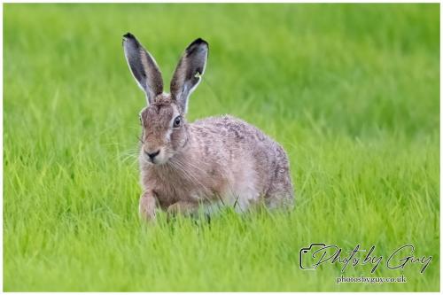 18 July 2024 West Cumbria