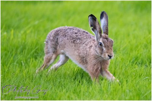18 July 2024 West Cumbria