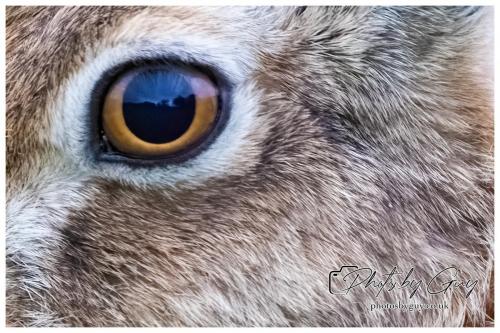 18 July 2024 West Cumbria