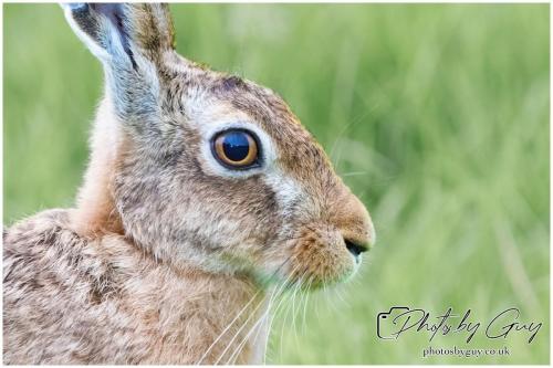 18 July 2024 West Cumbria