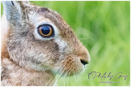 18 July 2024 West Cumbria