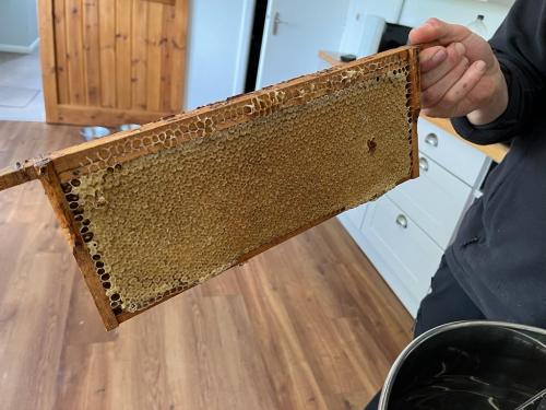 f523ca0a-bdb0-44c9-9a49-561f061c4bc7-2