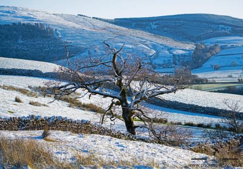 Ennerdale, Cumbria 16.01.23