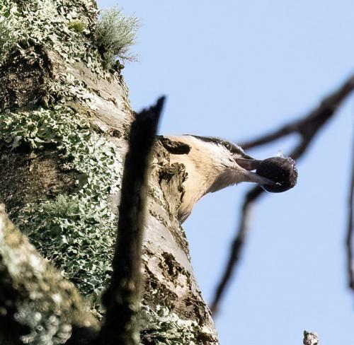Ennerdale Jan 17 2023